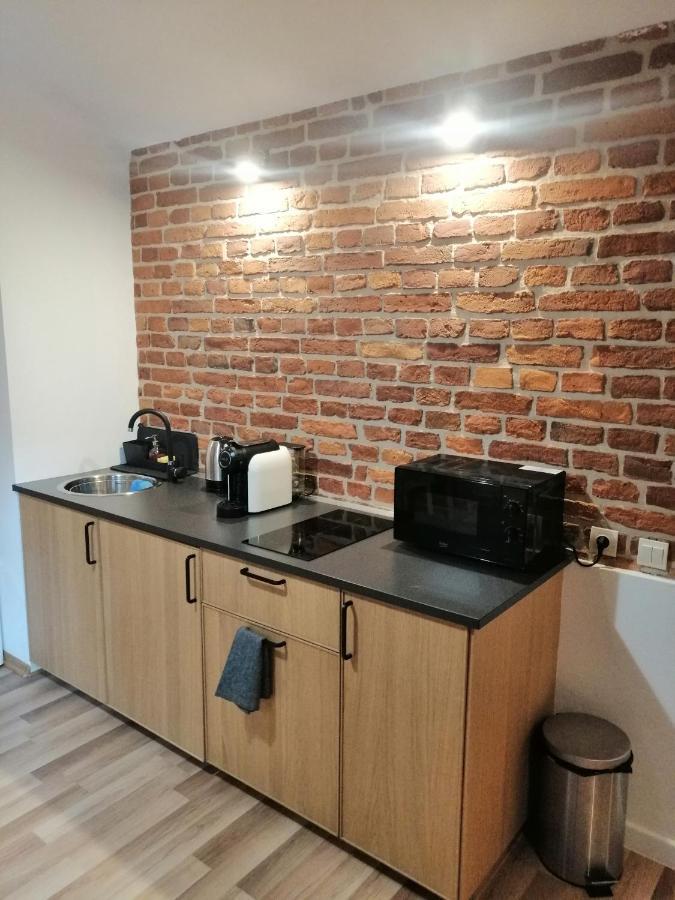 Apartament Pod Wawelem 크라쿠프 외부 사진